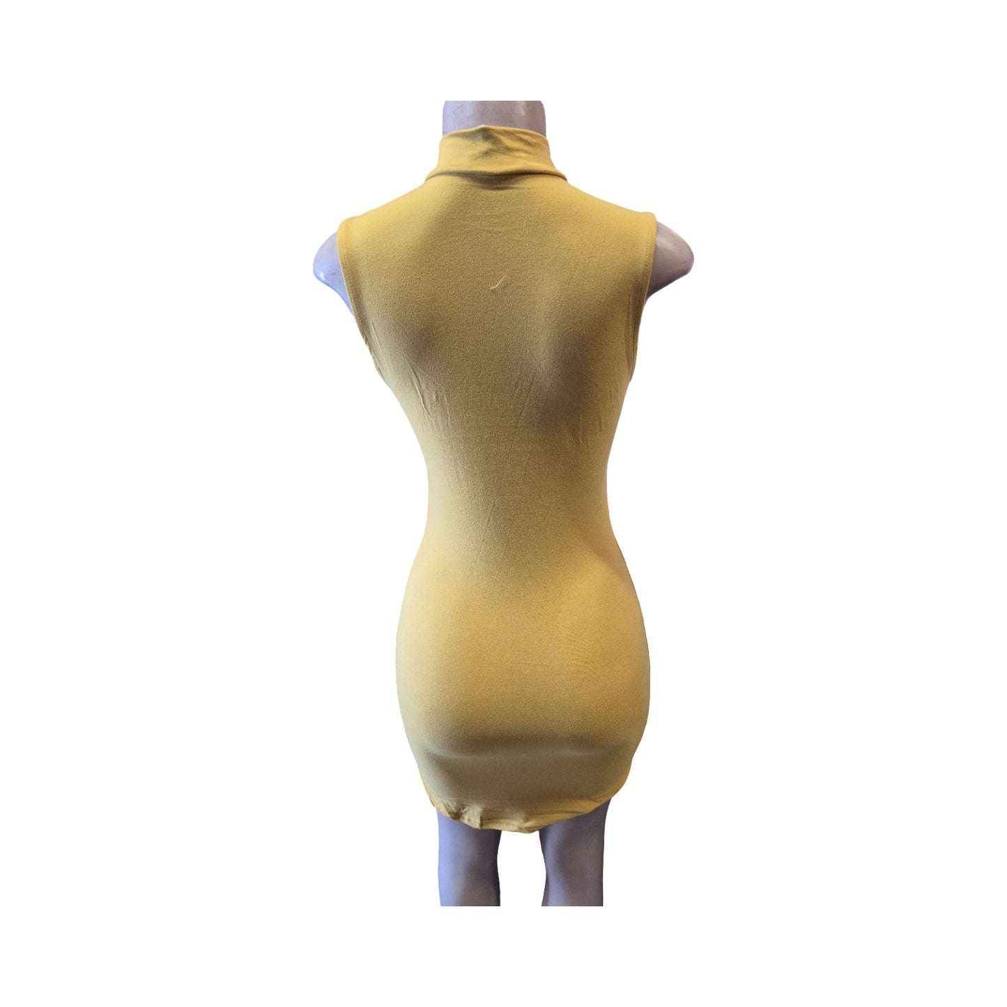 Choker Neck Bodycon Mini Dress